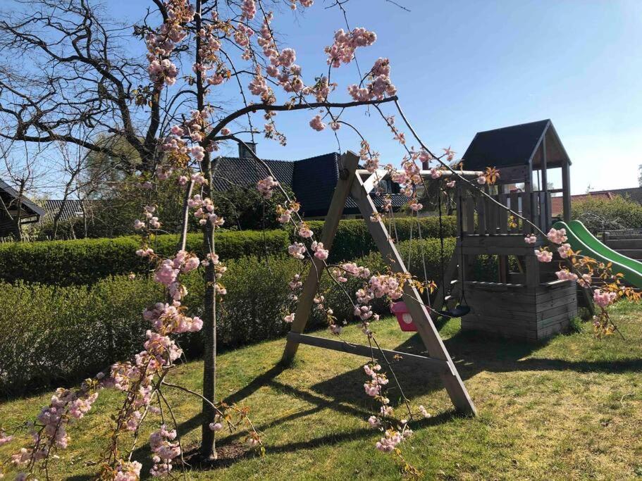 Villa Lyckehusen Löddeköpinge Zewnętrze zdjęcie